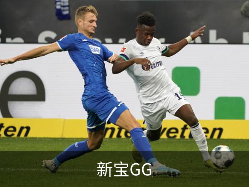 新宝GG概况